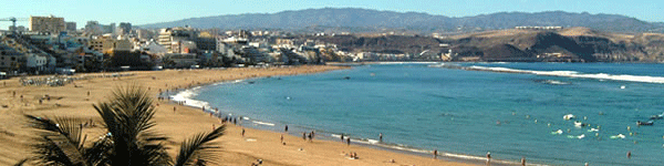 Imagen del contenido web