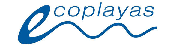 Imagen del contenido web